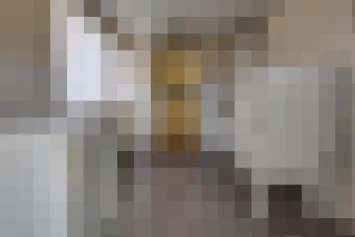 Waardeel 16 Borger thumbnail 11