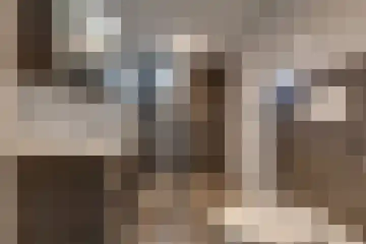 Waardeel 16 Borger thumbnail 21