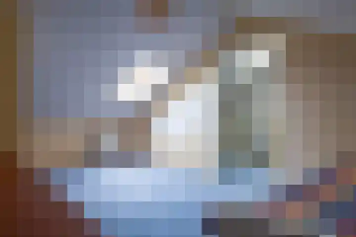 Waardeel 16 Borger thumbnail 27