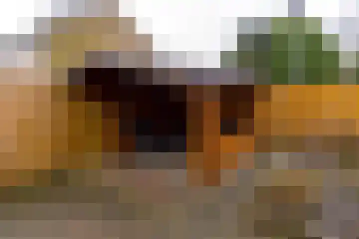 Waardeel 16 Borger thumbnail 30