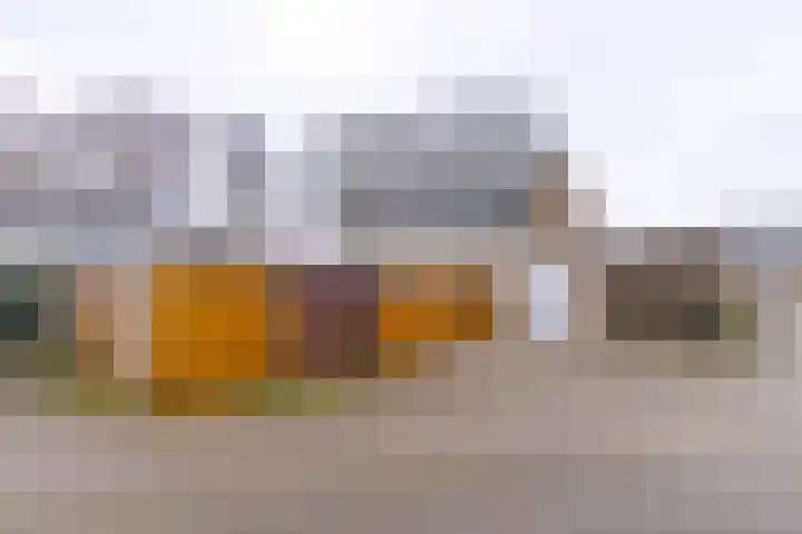 Waardeel 16 Borger thumbnail 31