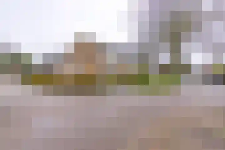Waardeel 16 Borger thumbnail 32