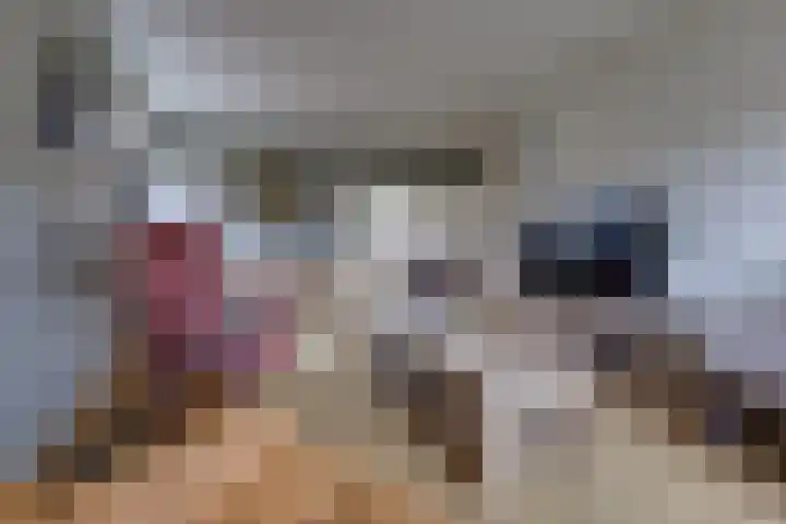 Waardeel 16 Borger thumbnail 5