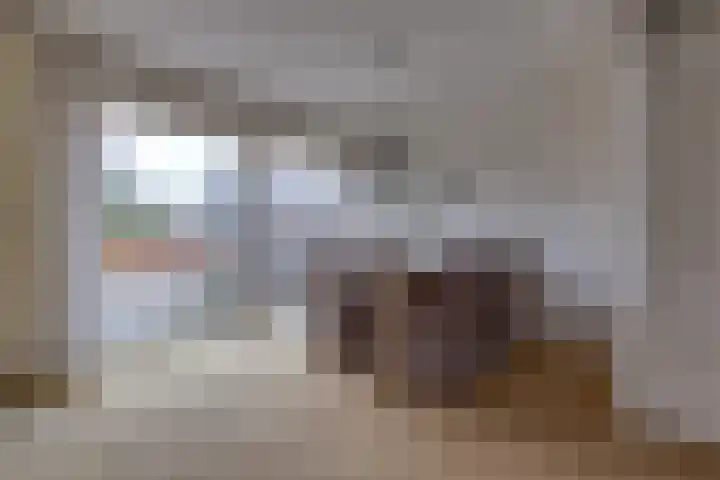 Waardeel 16 Borger thumbnail 6