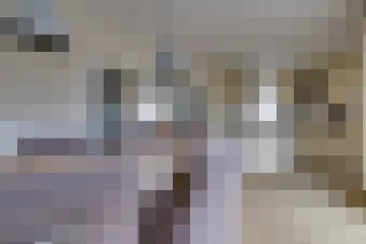 Waardeel 16 Borger thumbnail 7