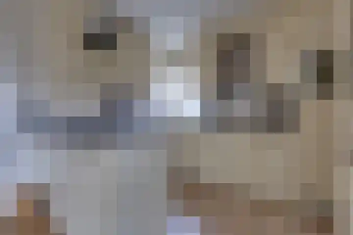 Waardeel 16 Borger thumbnail 8