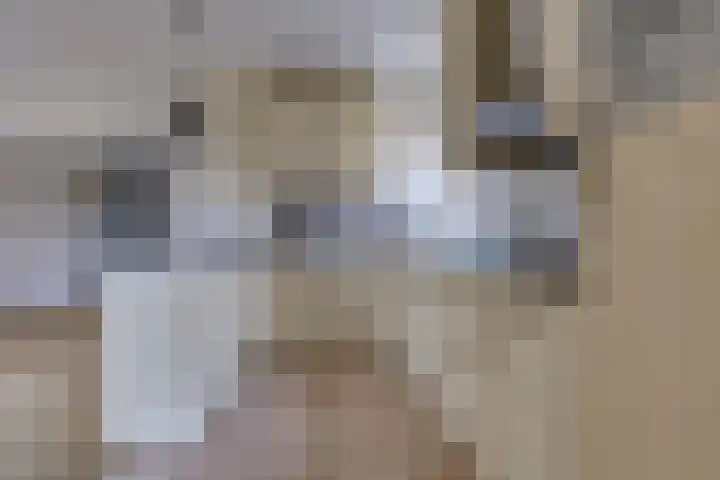 Waardeel 16 Borger thumbnail 9