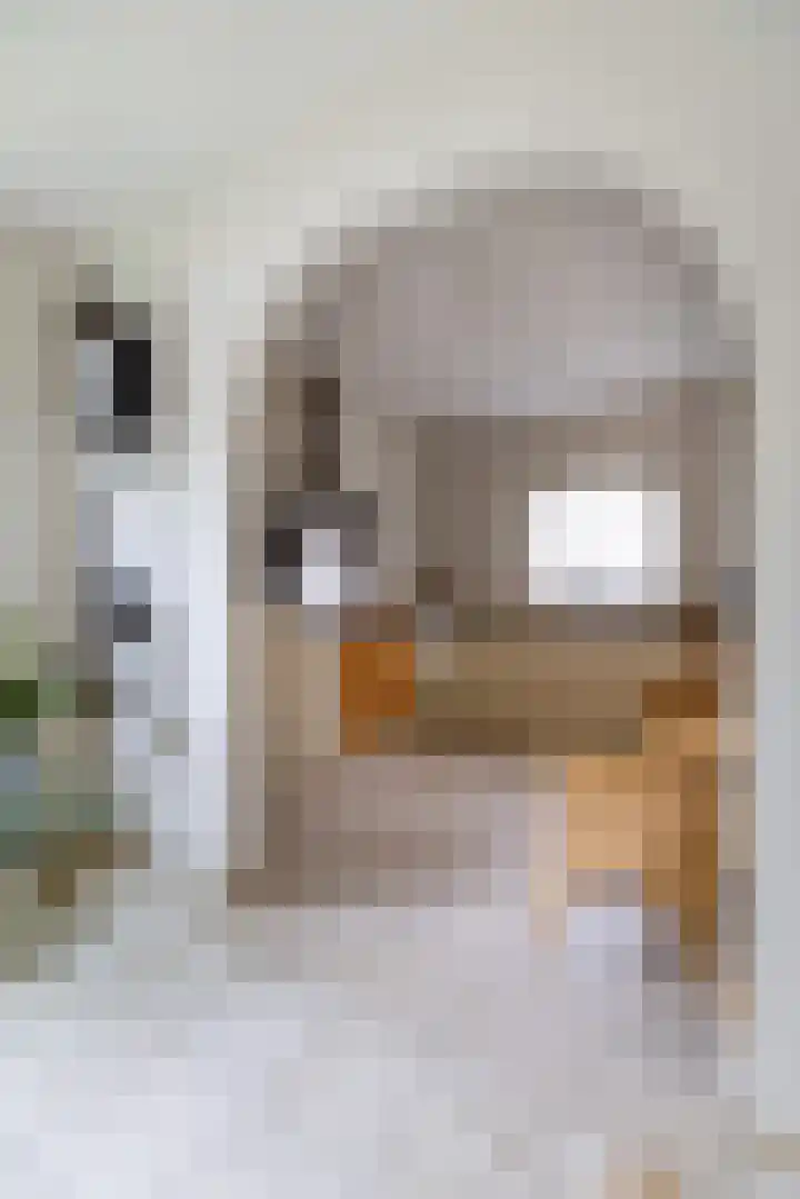 Waardeel 17 Annen thumbnail 10