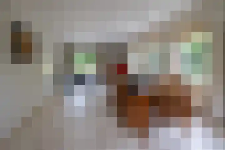 Waardeel 17 Annen thumbnail 12