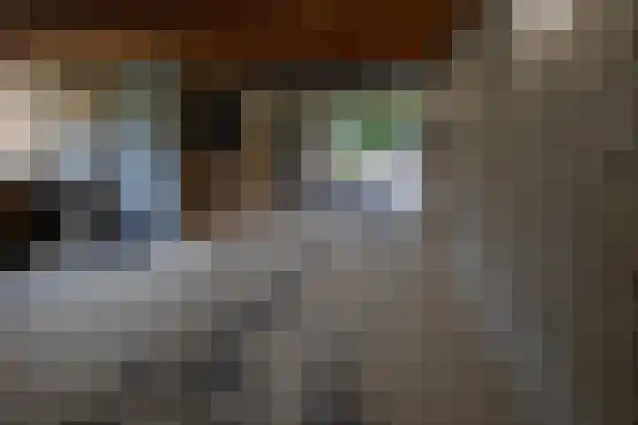 Waardeel 17 Annen thumbnail 28