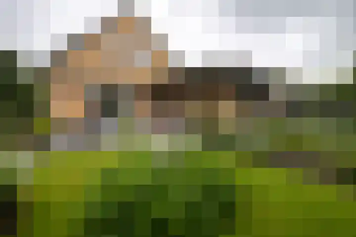 Waardeel 17 Annen thumbnail 30