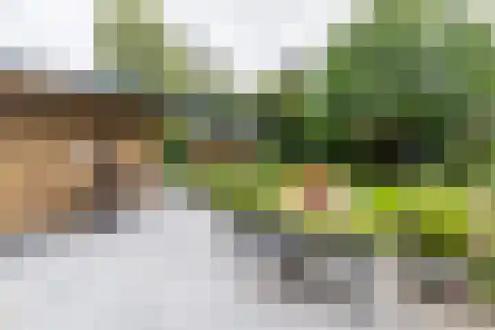 Waardeel 17 Annen thumbnail 31