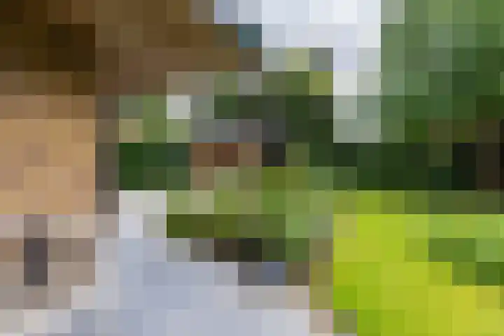 Waardeel 17 Annen thumbnail 32