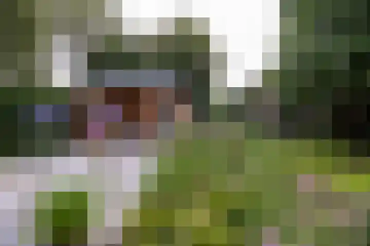 Waardeel 17 Annen thumbnail 33