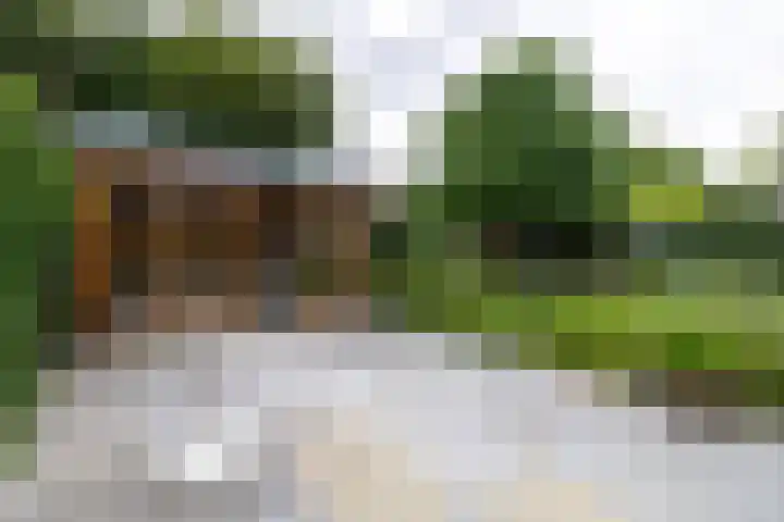 Waardeel 17 Annen thumbnail 34