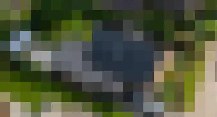 Waardeel 17 Annen thumbnail 36
