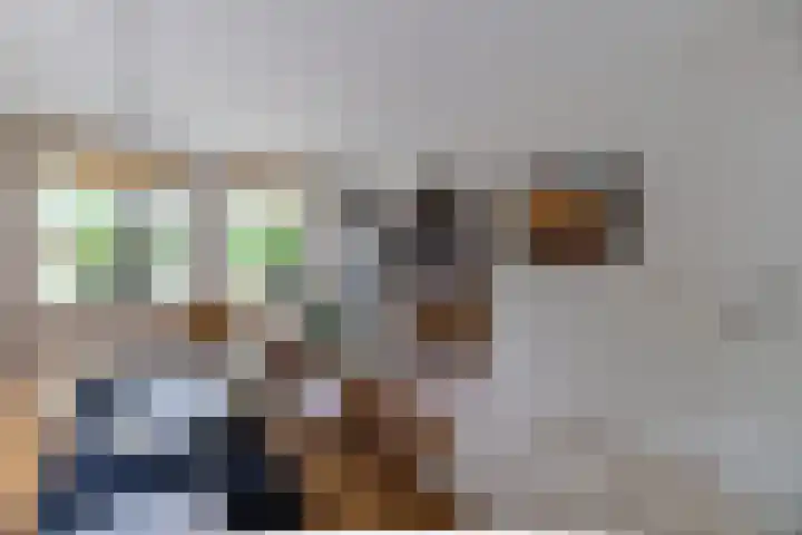 Waardeel 17 Annen thumbnail 9