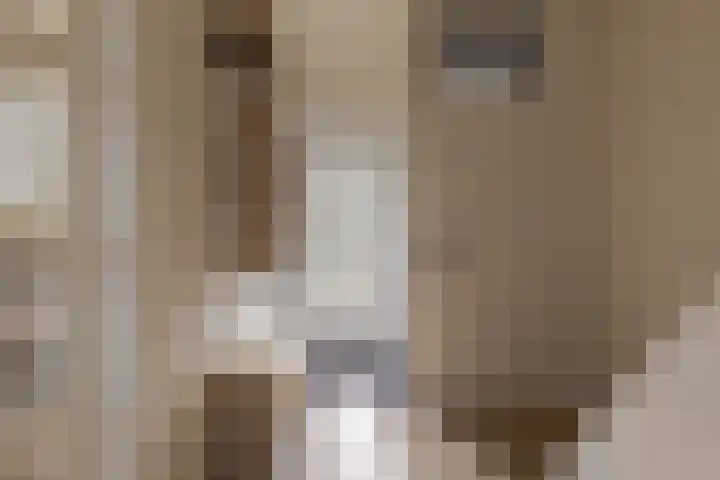 Waardeel 17 Borger thumbnail 10