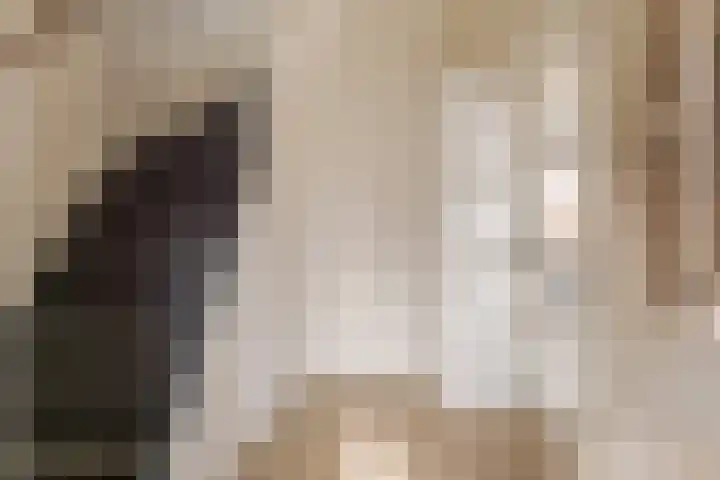 Waardeel 17 Borger thumbnail 11