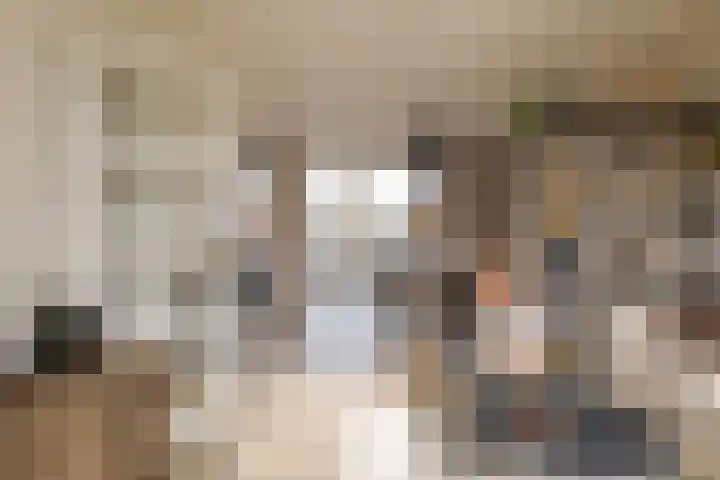 Waardeel 17 Borger thumbnail 12