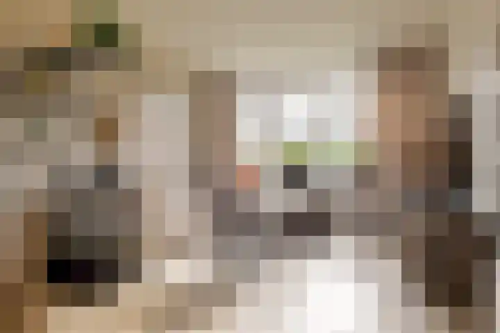 Waardeel 17 Borger thumbnail 14