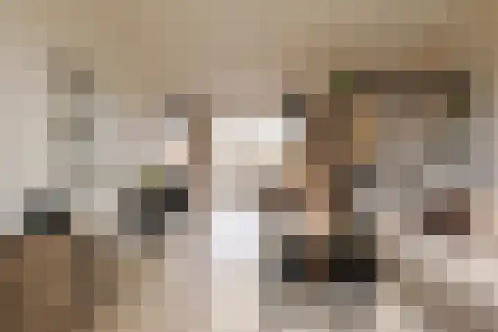 Waardeel 17 Borger thumbnail 17