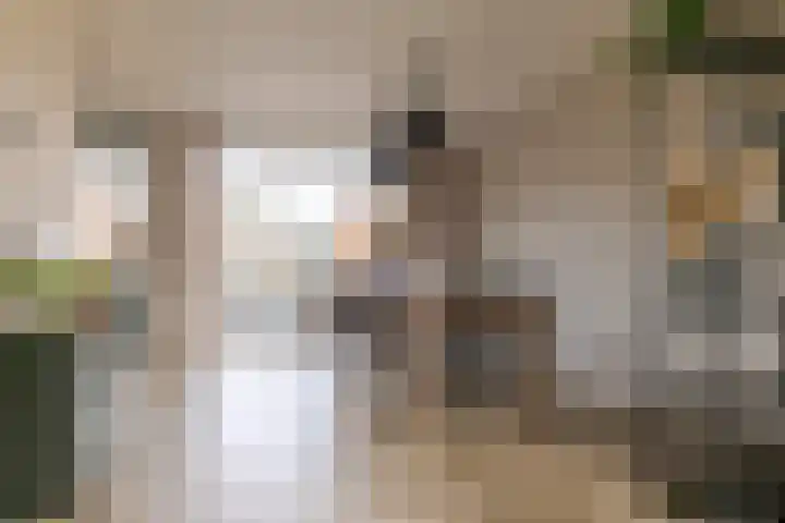Waardeel 17 Borger thumbnail 18