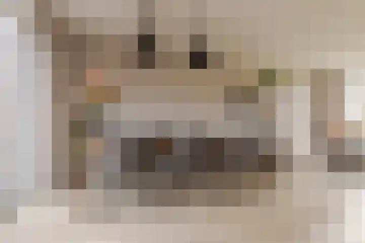 Waardeel 17 Borger thumbnail 19
