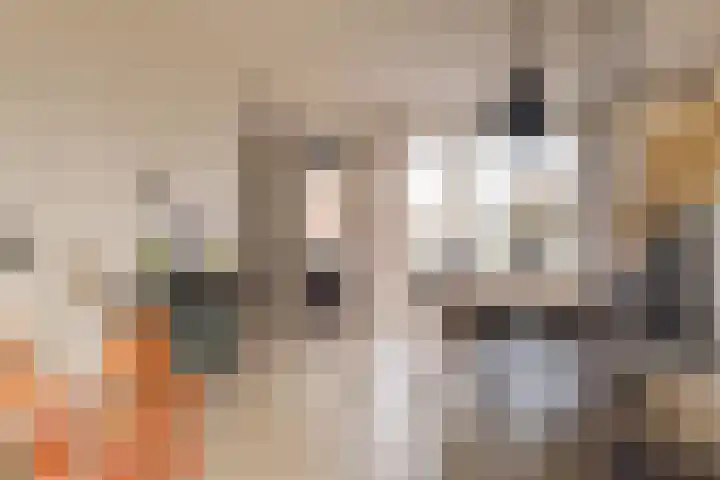 Waardeel 17 Borger thumbnail 21