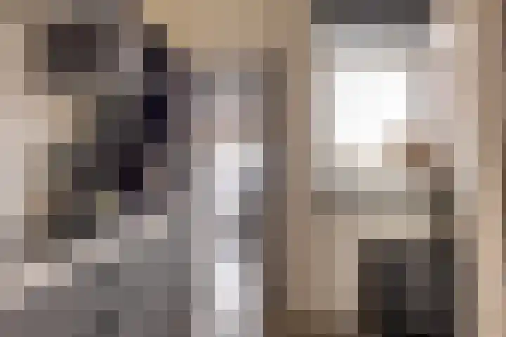 Waardeel 17 Borger thumbnail 25