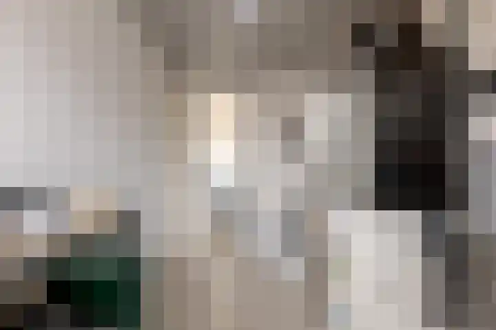 Waardeel 17 Borger thumbnail 27