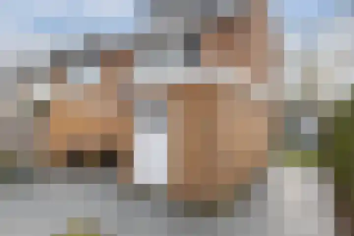 Waardeel 17 Borger thumbnail 29