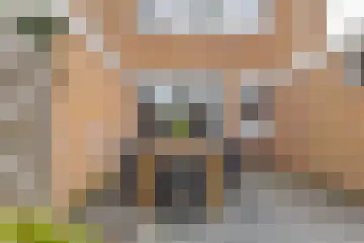 Waardeel 17 Borger thumbnail 31