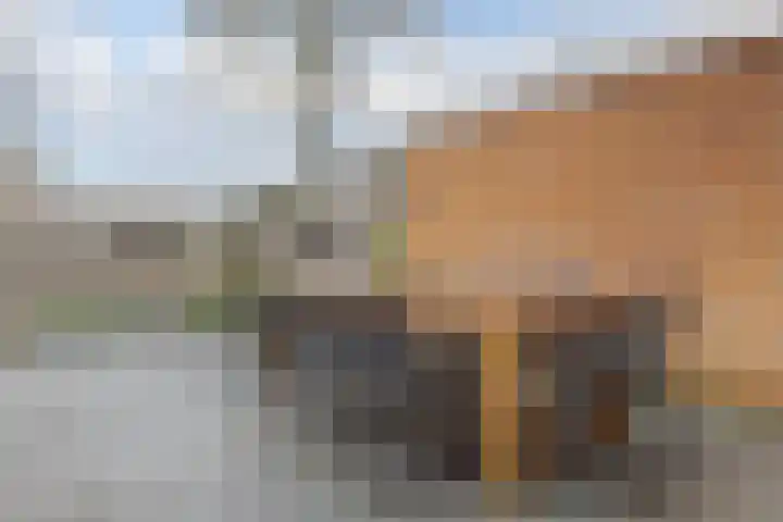 Waardeel 17 Borger thumbnail 32