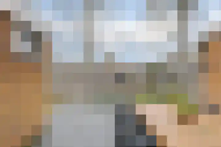 Waardeel 17 Borger thumbnail 33