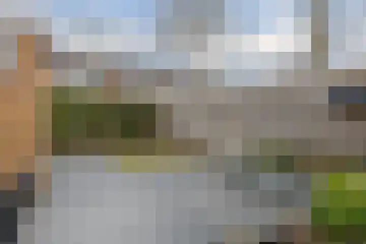 Waardeel 17 Borger thumbnail 34