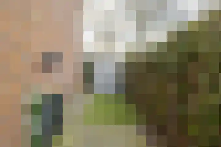 Waardeel 17 Borger thumbnail 36