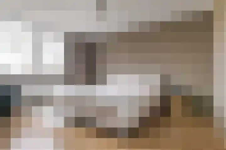 Waardeel 17 Borger thumbnail 39