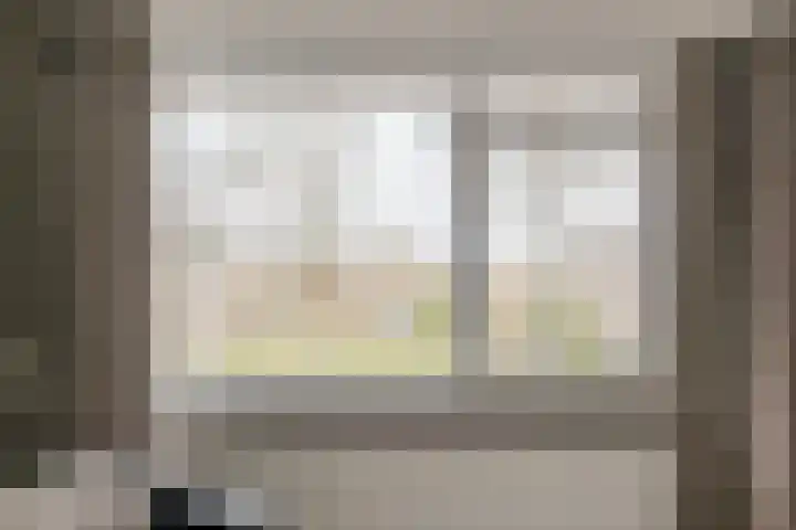 Waardeel 17 Borger thumbnail 41