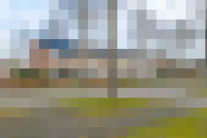 Waardeel 17 Borger thumbnail 5