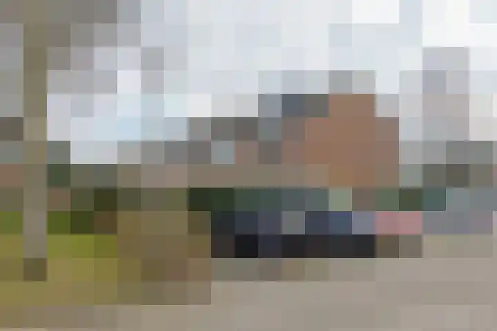 Waardeel 17 Borger thumbnail 57