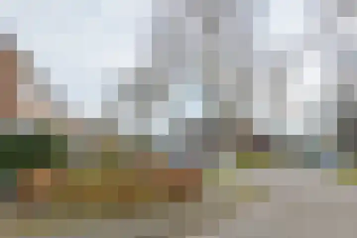 Waardeel 17 Borger thumbnail 58