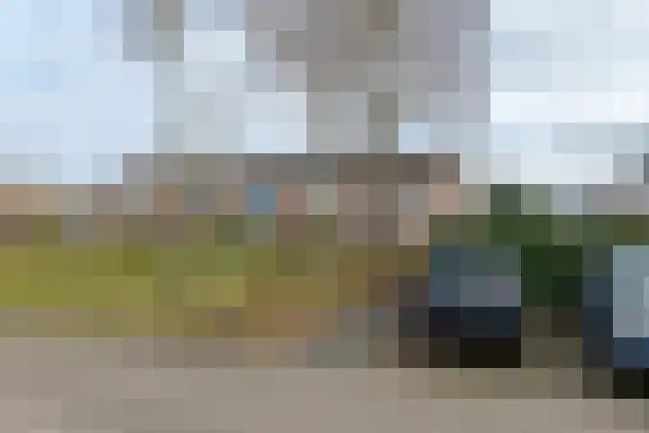 Waardeel 17 Borger thumbnail 59