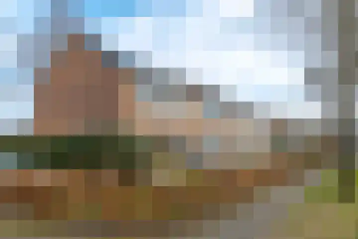 Waardeel 17 Borger thumbnail 6