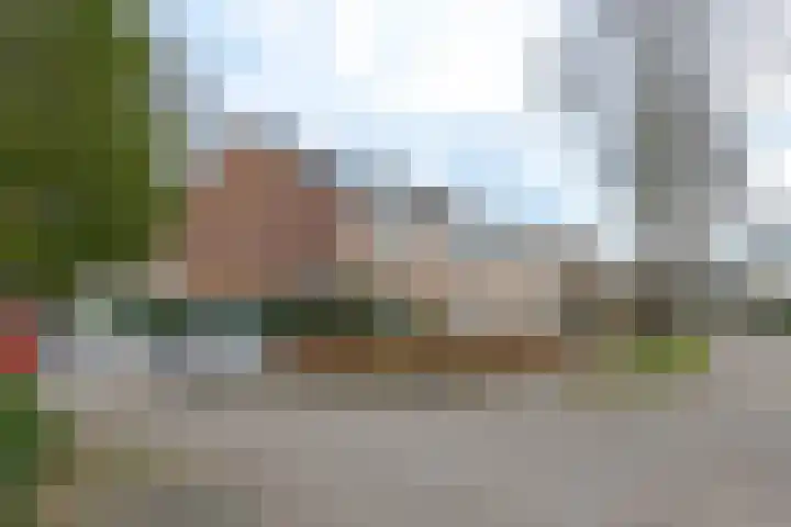 Waardeel 17 Borger thumbnail 60