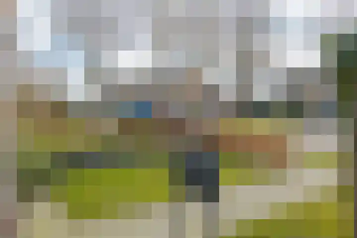 Waardeel 17 Borger thumbnail 7