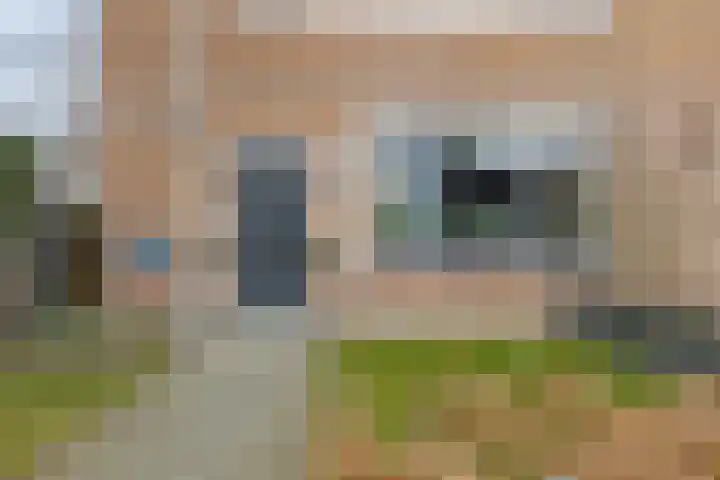 Waardeel 17 Borger thumbnail 8
