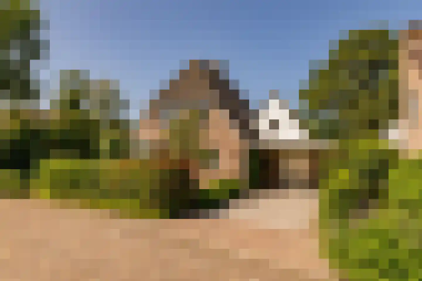 Waardeel 2 in Zuidwolde