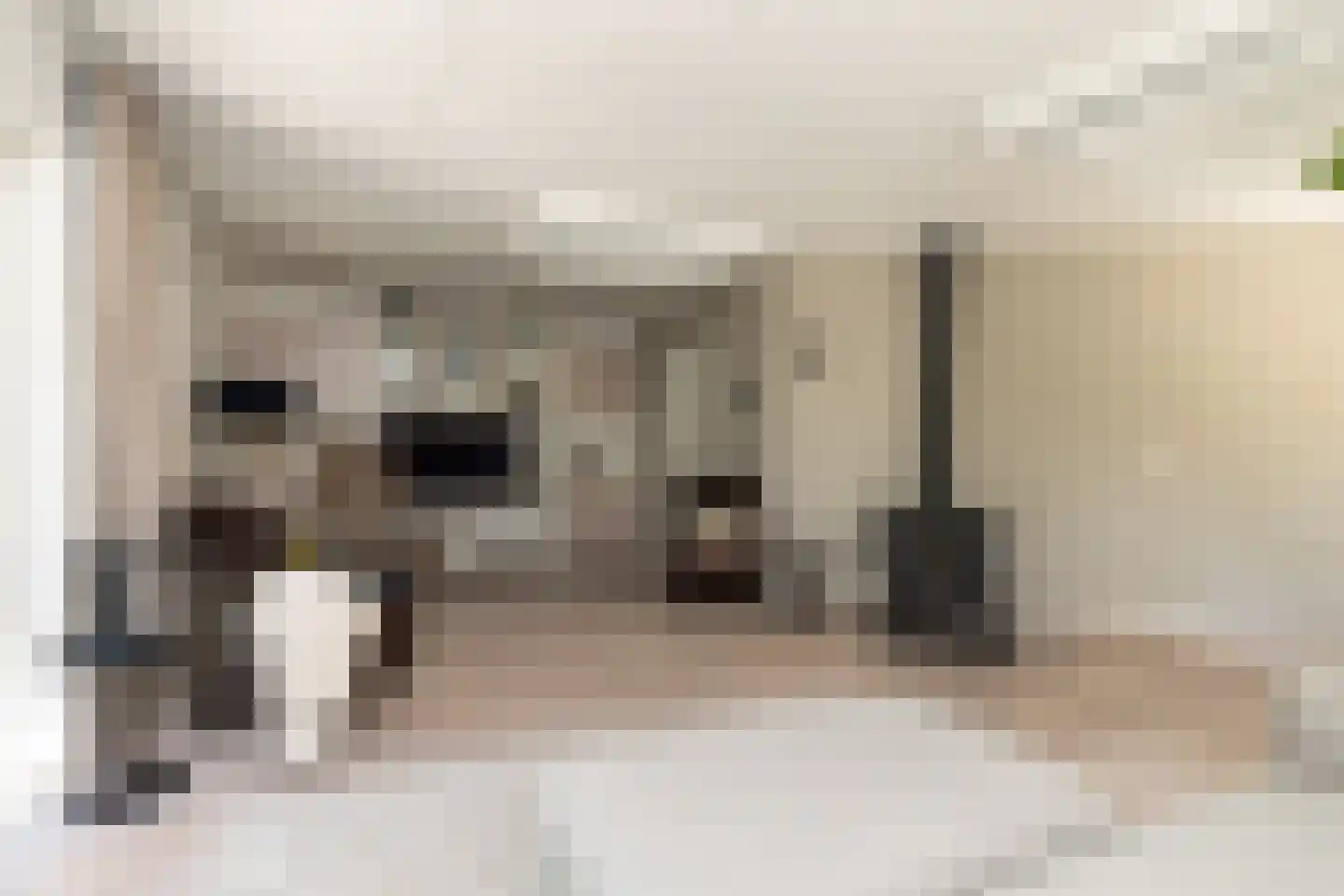 Waardeel 2 Zuidwolde thumbnail 10
