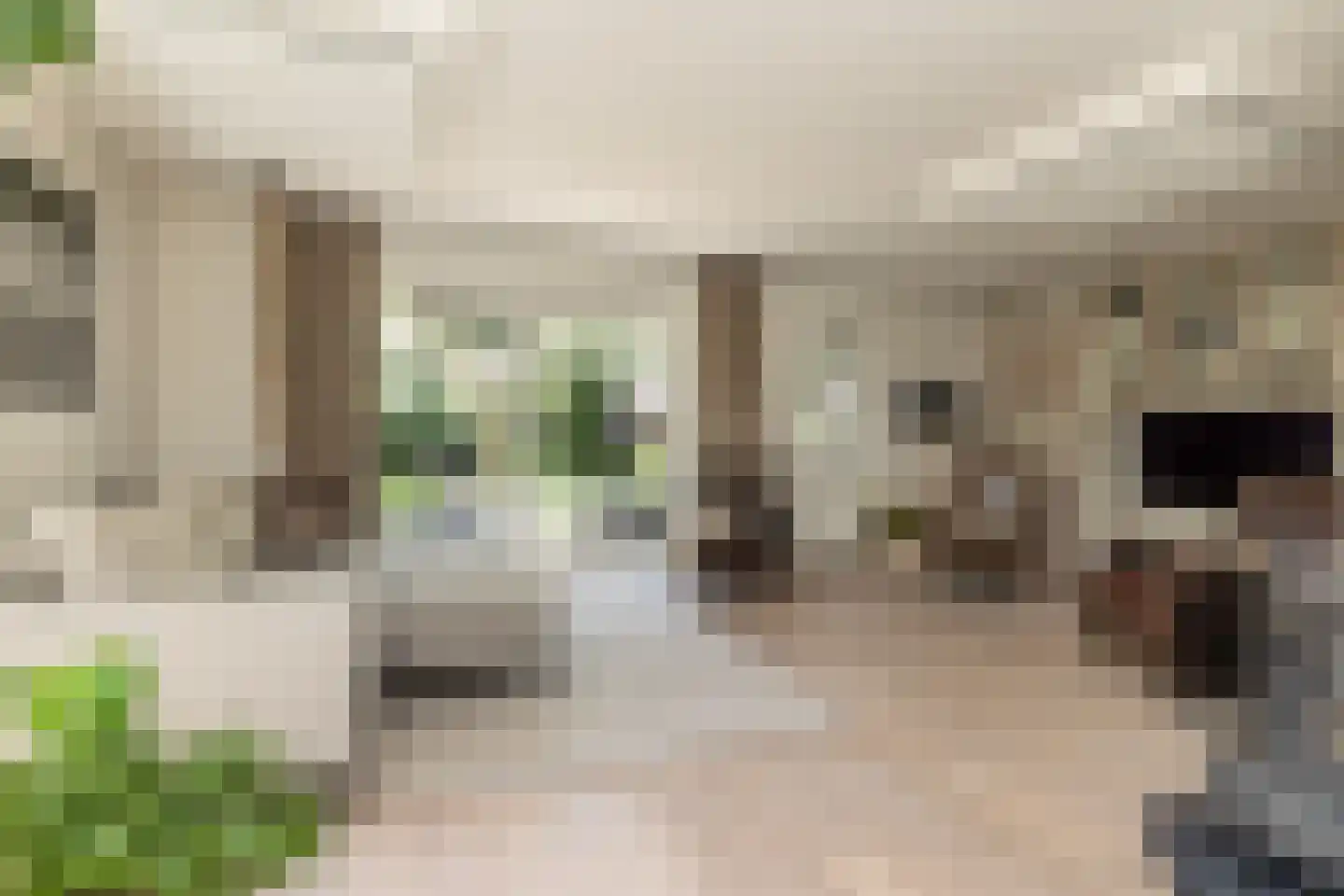 Waardeel 2 Zuidwolde thumbnail 11